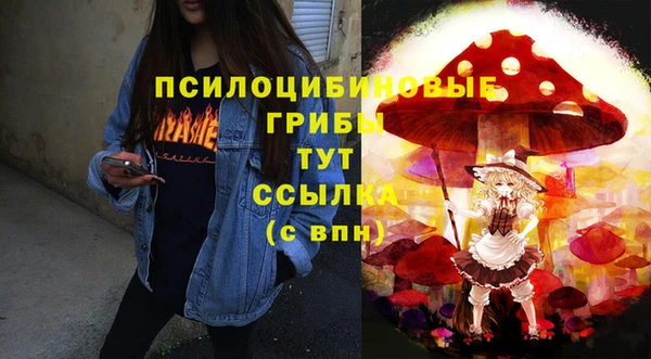 СК Абаза
