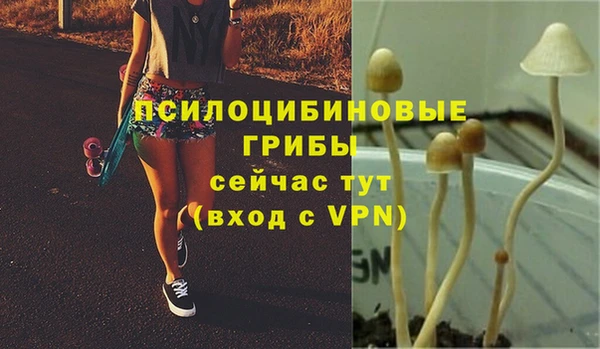 MDMA Premium VHQ Покров