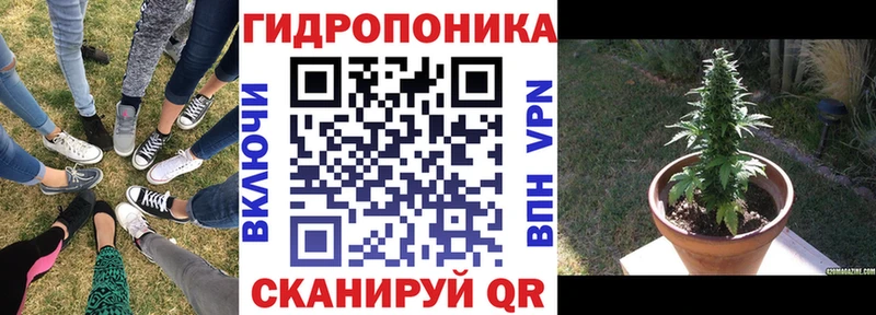 Шишки марихуана SATIVA & INDICA  darknet состав  Кедровый 